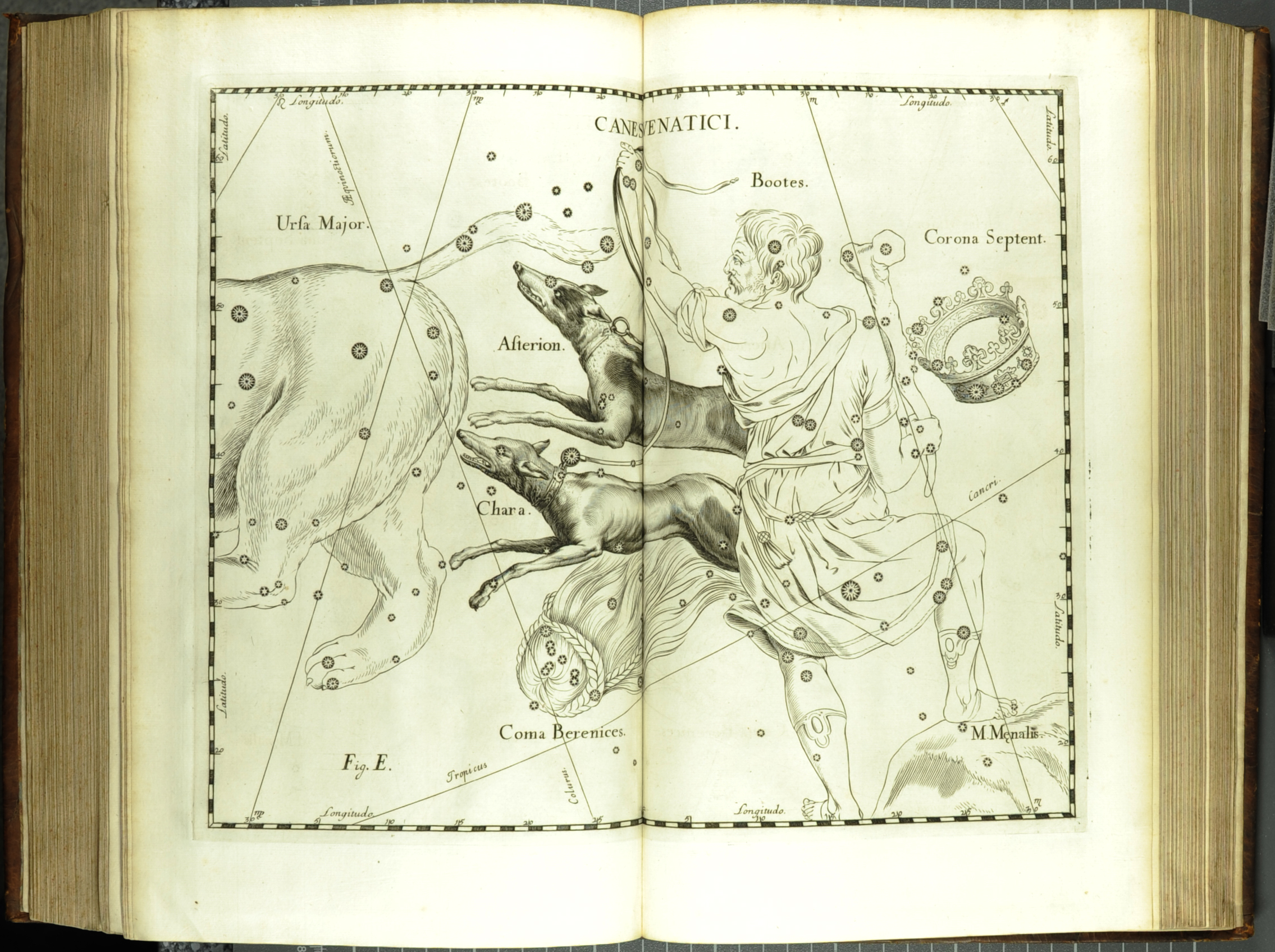 The constellation Canes Venatici, one of the seven new constellations identified by Hevelius in his Firmamentum Sobiescianum (St Andrews copy at r17f QB41.H2).