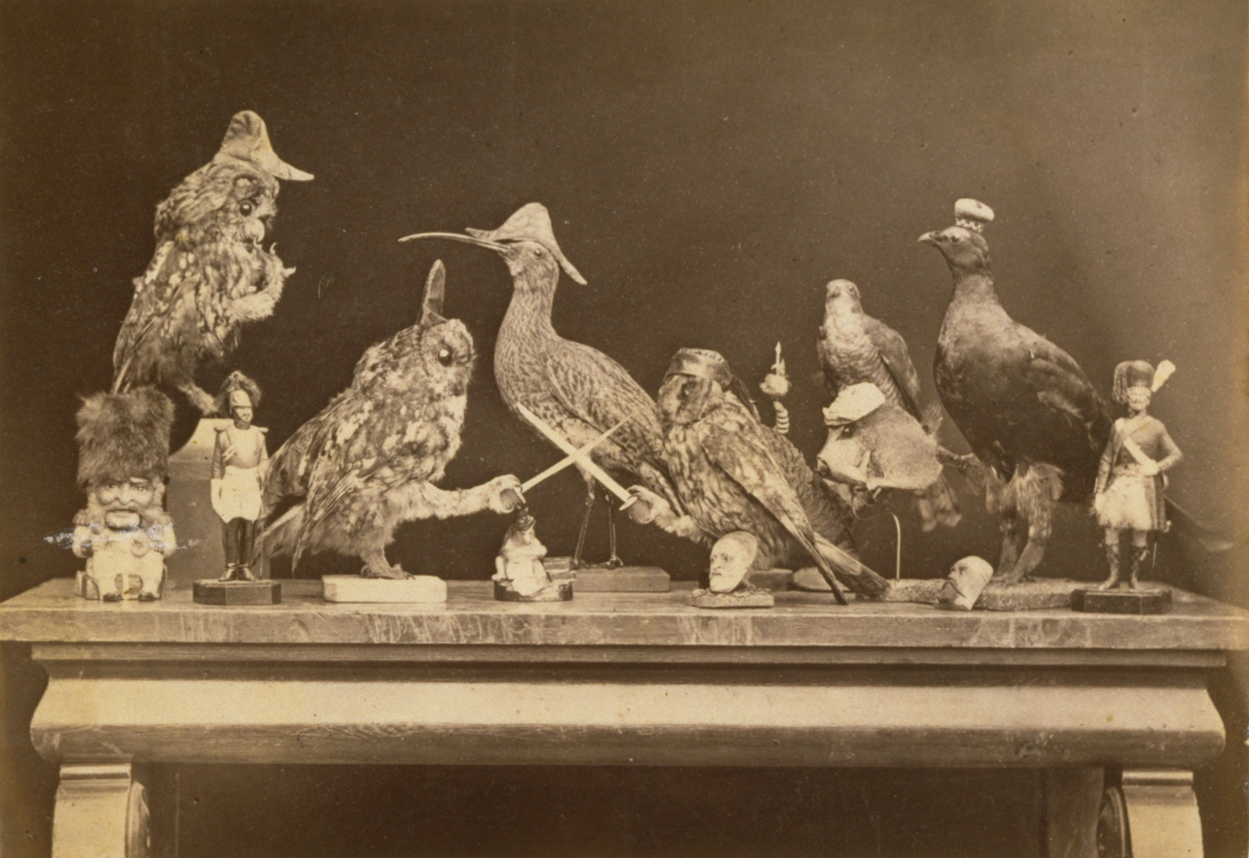 “Mock battle tableau” between stuffed birds and fish, military figurines, toby jug and human head plaques by Dr John Adamson, 1860.  (St Andrews ALB-49-45-2)
