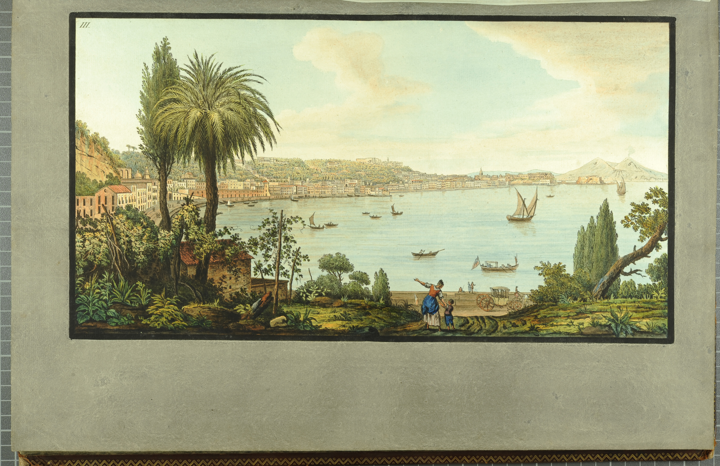 A view of Naples from Hamilton's Campi Phlegraei