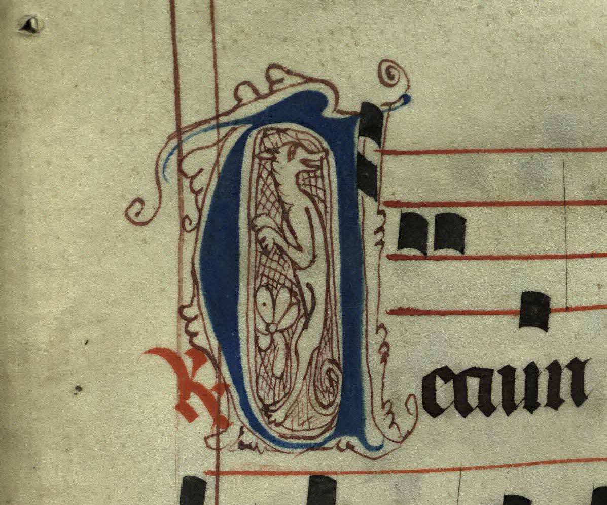 Pen decorated initial 'D' with dog from p. 73 of a 15th century Gradual (St Andrews msM2148.G7)
