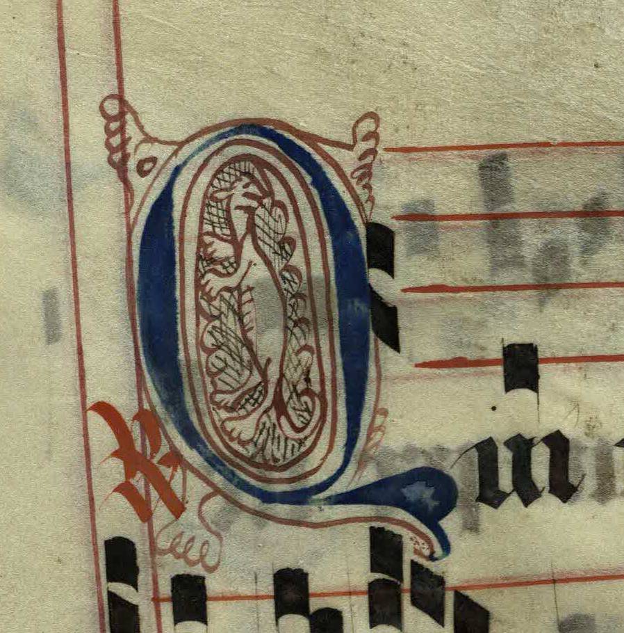 Pen decorated initial 'Q' with unidentified animal from p. 64 of a 15th century Gradual (St Andrews msM2148.G7)