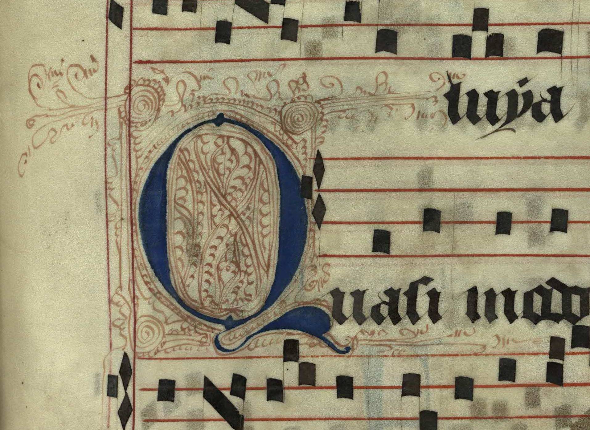 Pen decorated initial 'Q' from p. 225 of a 15th century Gradual (St Andrews msM2148.G7)