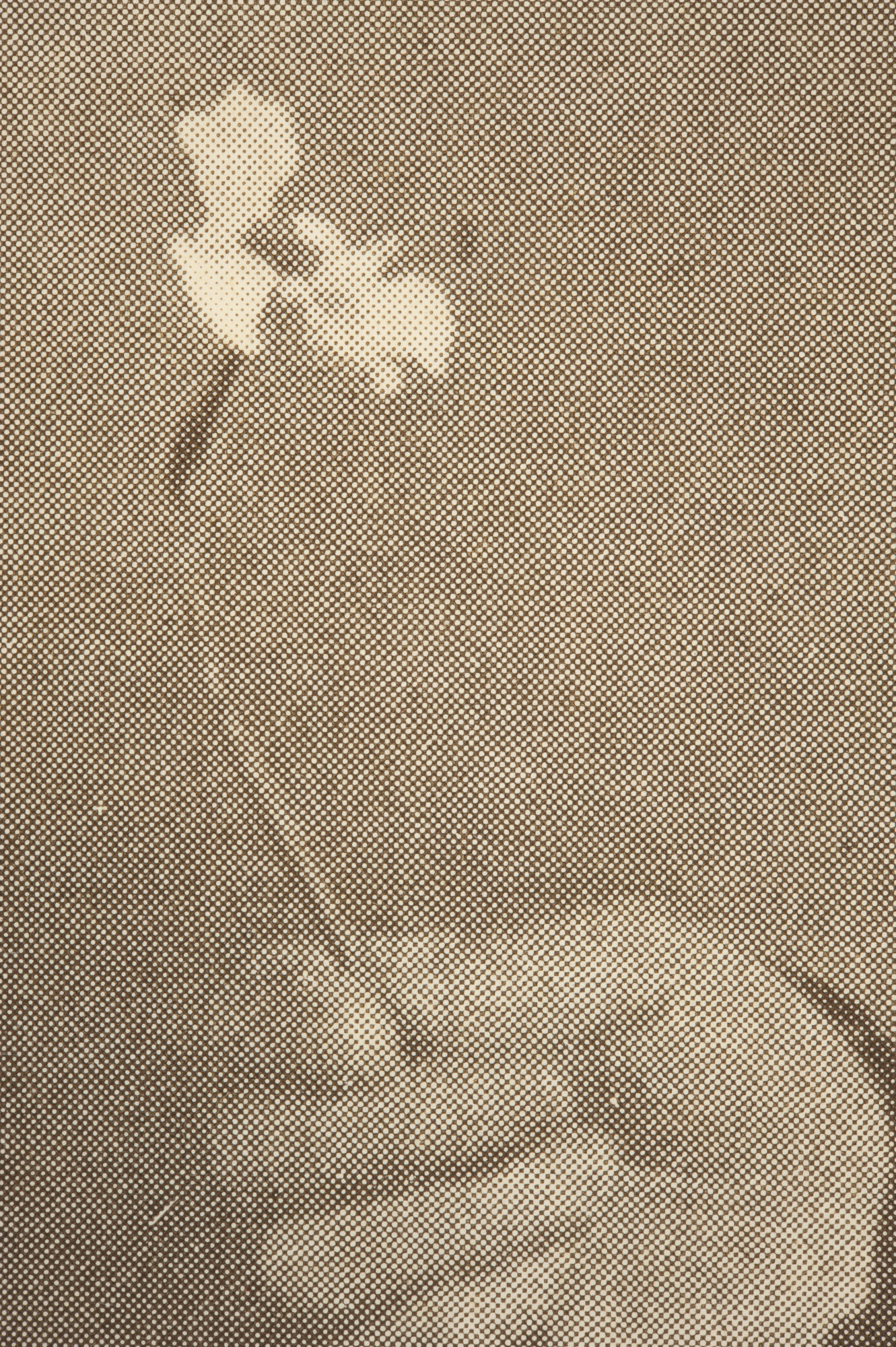 Half-tone screen detail of "The Narcissus," by H. H. House, page 49