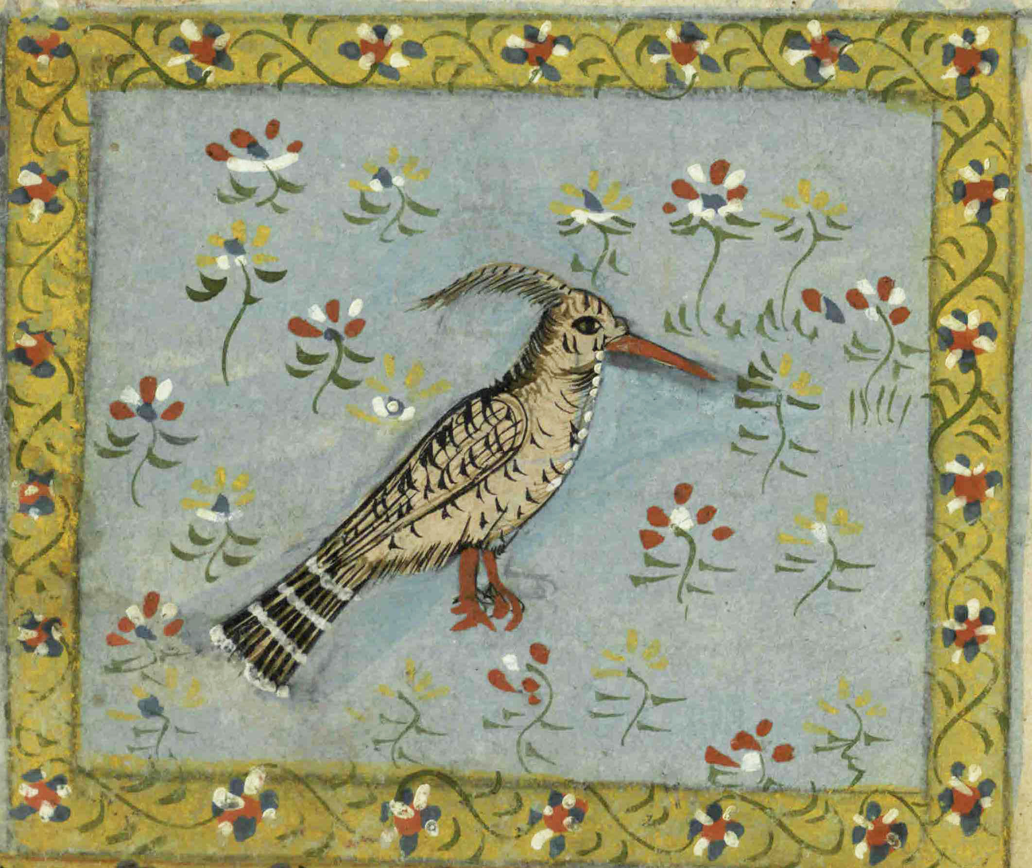 A hoopoe from 17th or 18th century manuscript copy of “The Book of Wonders of the Age” (St Andrews ms32(o))