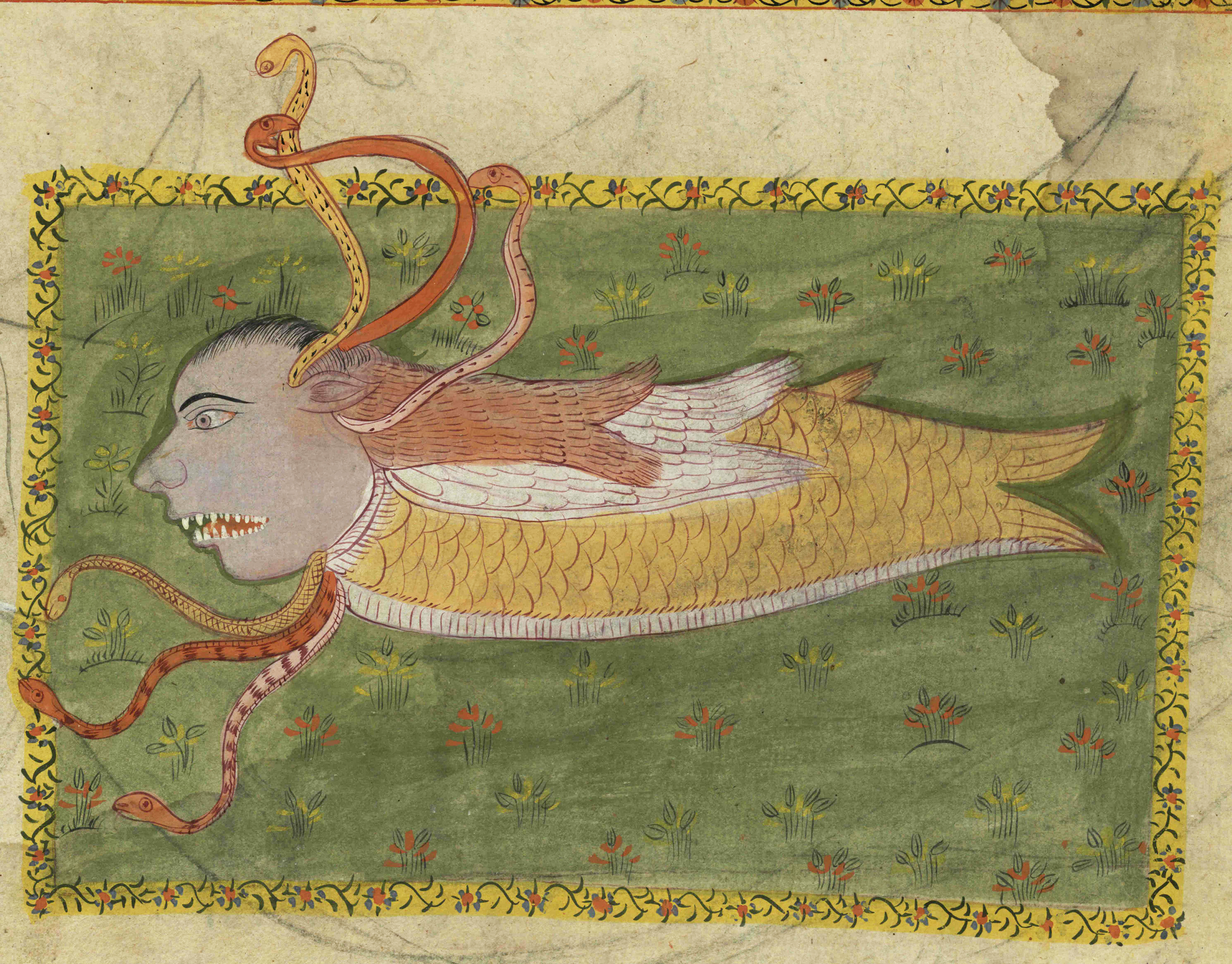 A fish with a human head with snakes coming out of its head, from 17th or 18th century manuscript copy of “The Book of Wonders of the Age” (St Andrews ms32(o))