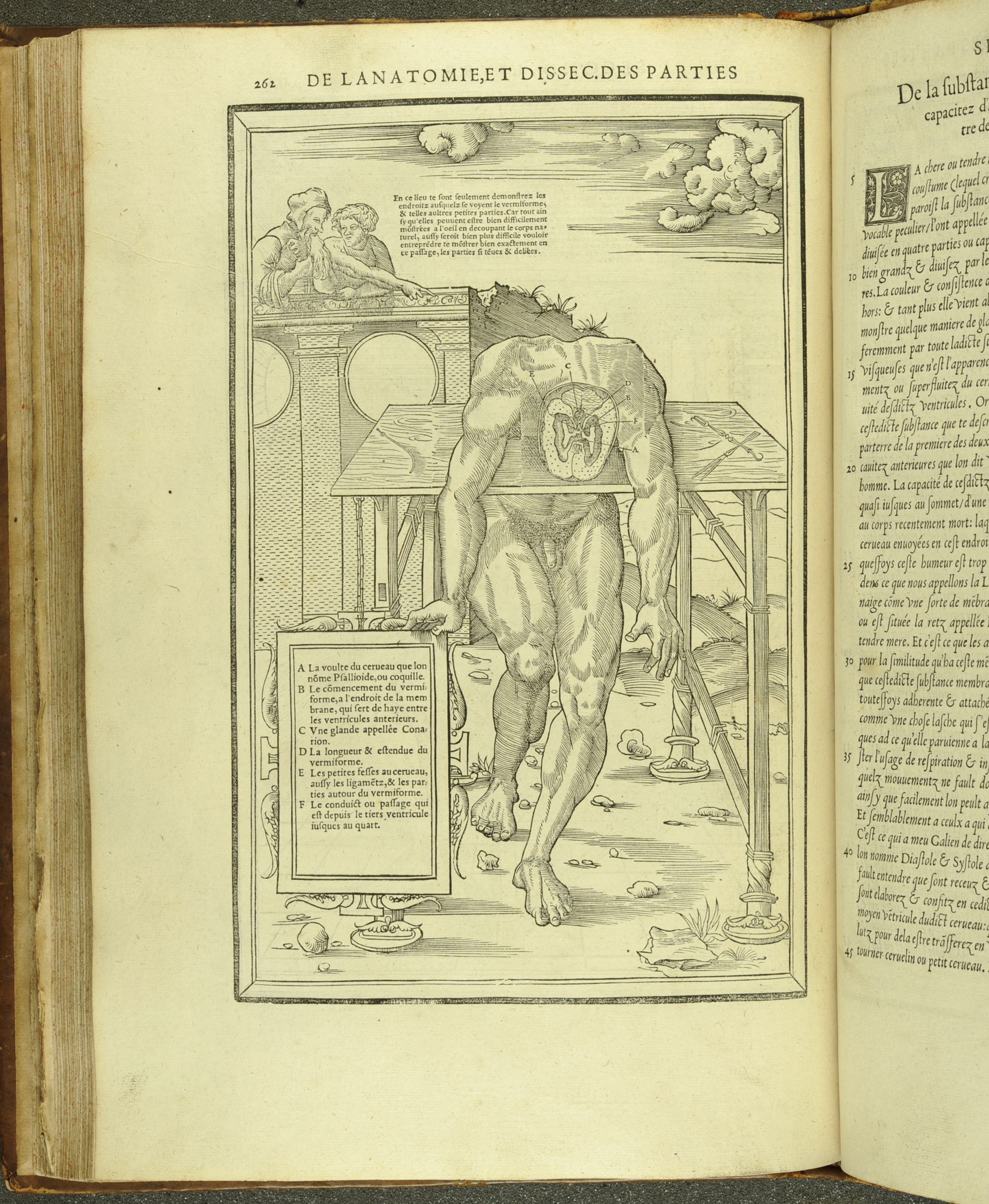 An anatomical illustration of a cross-section of a brain from Estienne's Anatomy (1546) (St Andrews copy at TypFP.B46CE)