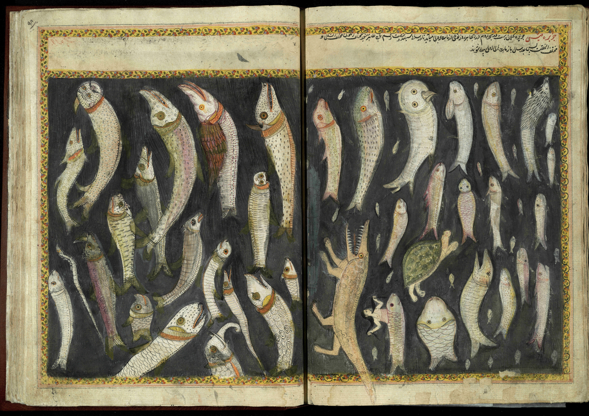 Many bizarre fish, including a hedgehog-headed fish, an owl-headed fish and a fish with a person coming out of its head! From 17th or 18th century manuscript copy of “The Book of Wonders of the Age” (St Andrews ms32(o))