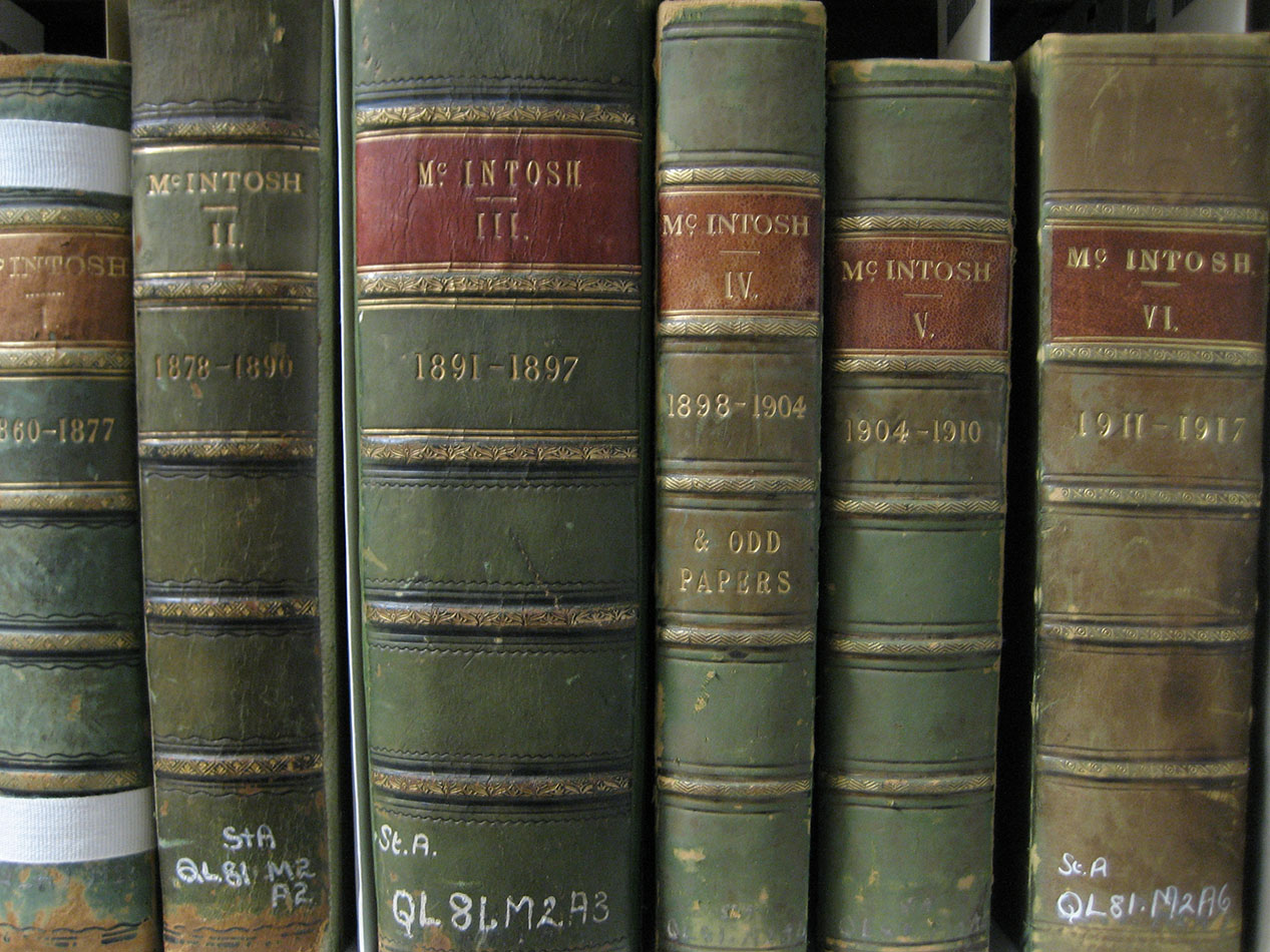 Papers by W.C. McIntosh –they are ‘bound-withs’, but on first glance appeared to be a multi-volume set.