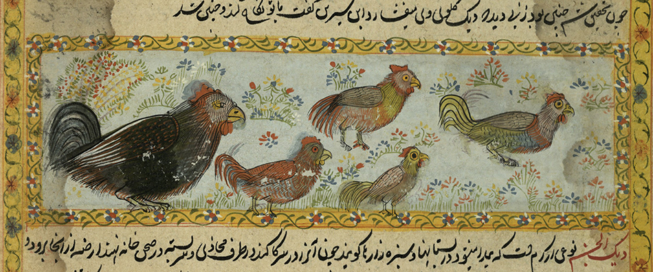 chickens from the Book of Wonders, ms32 (o)