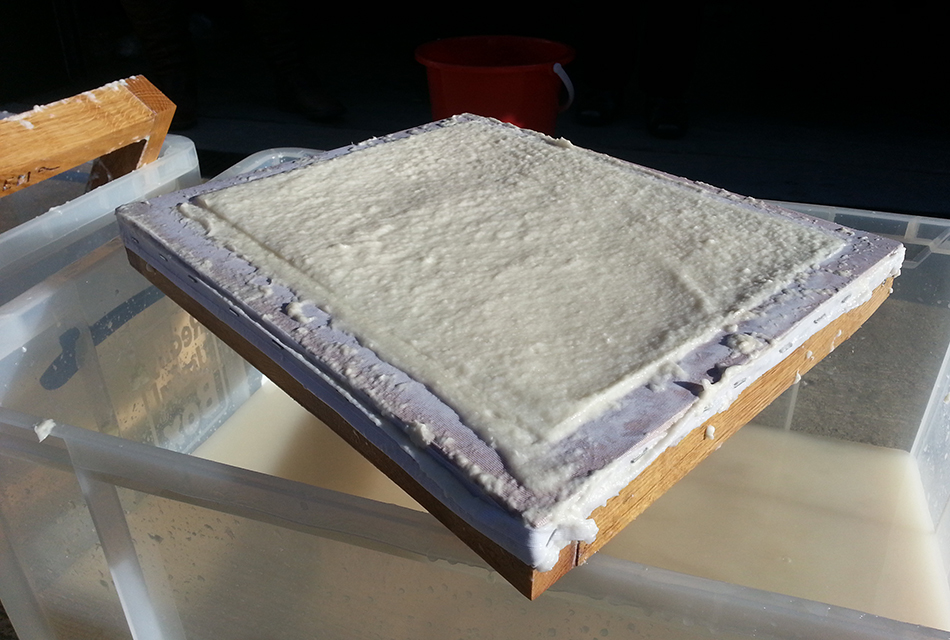 The pulp on our mould, after the deckle had been removed, and ready to be turned out on to a tea towel.