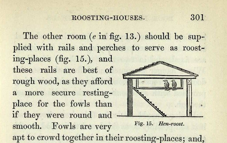 Roosting house Loudon