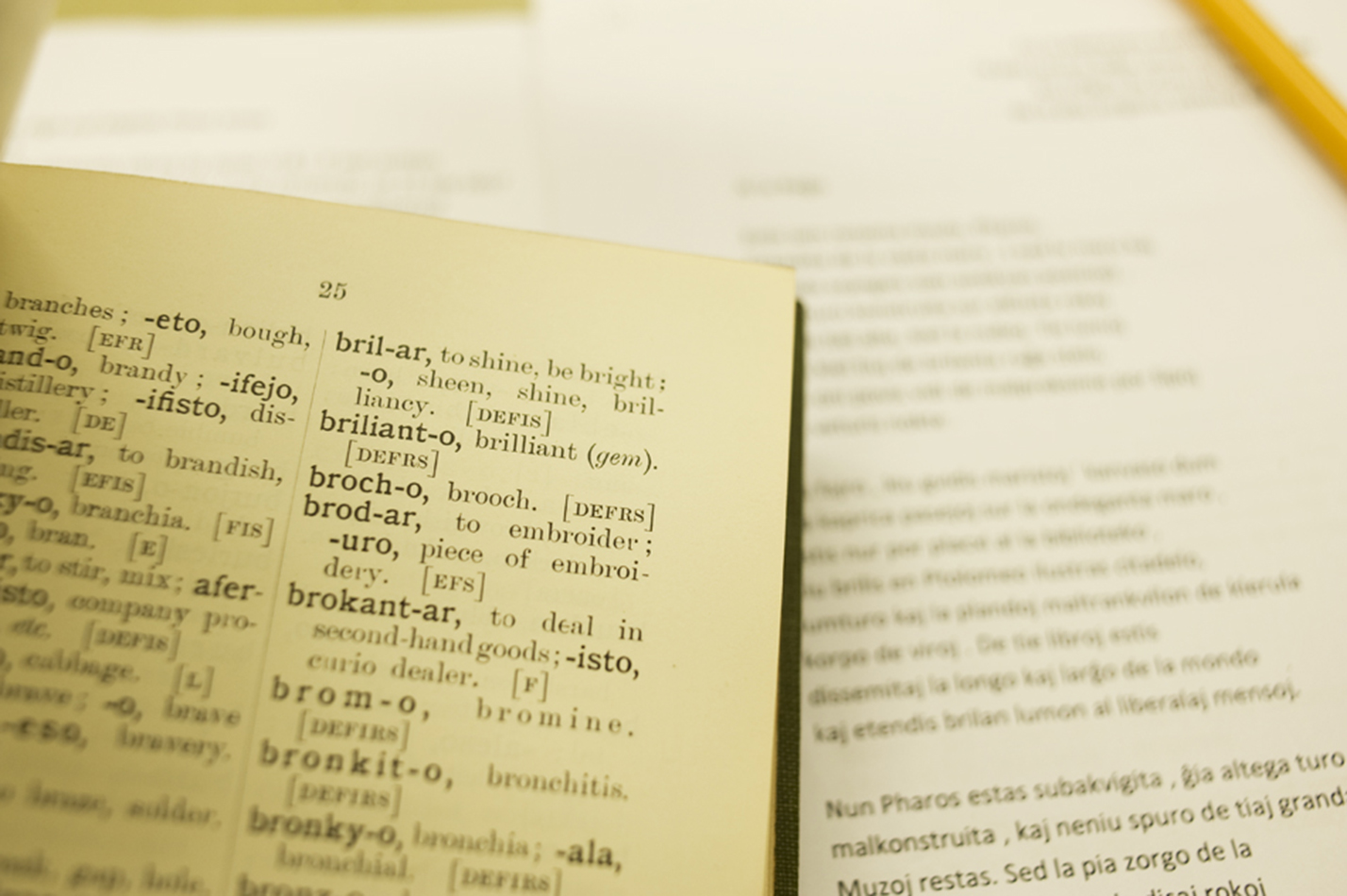 Using Rhodes’s English-Esperanto Dictionary (1908) for final translation work.