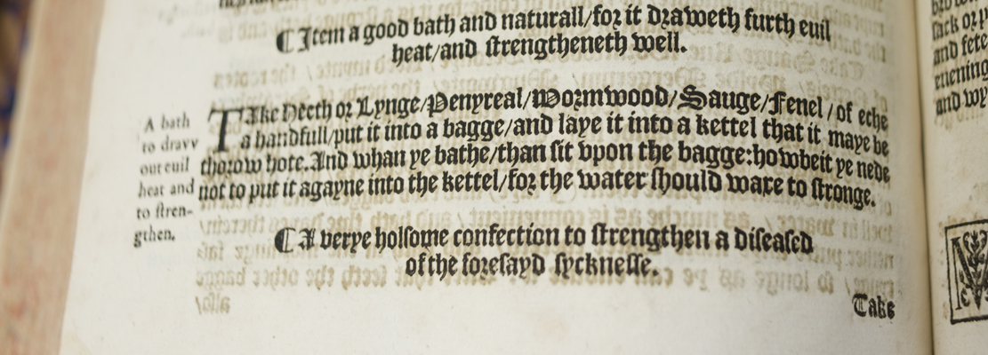Brunschwig's recipe for a 'good bath and natural', a safe bet for this week's blog! From A most excellent and perfecte homish apothecarye
