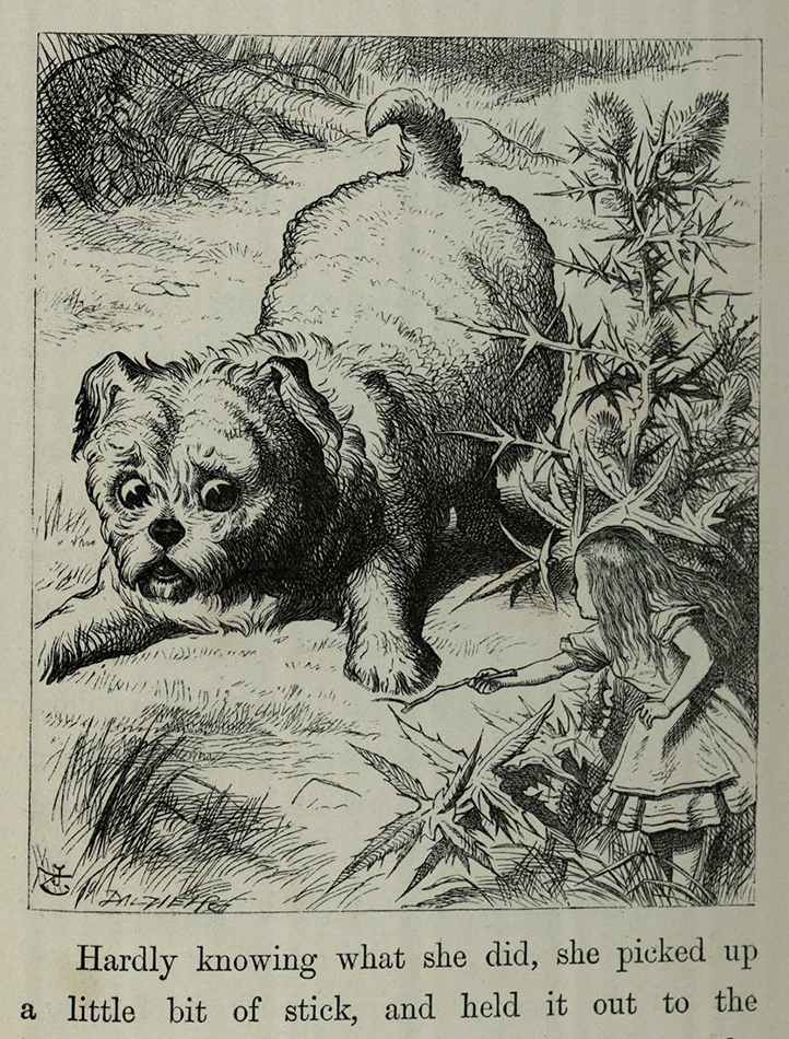 An enormous puppy was looking down at her p 55 -Alice's adventures in wonderland by Lewis Carroll; with illustrations by John Tenniel Chi PR4611.A6E70