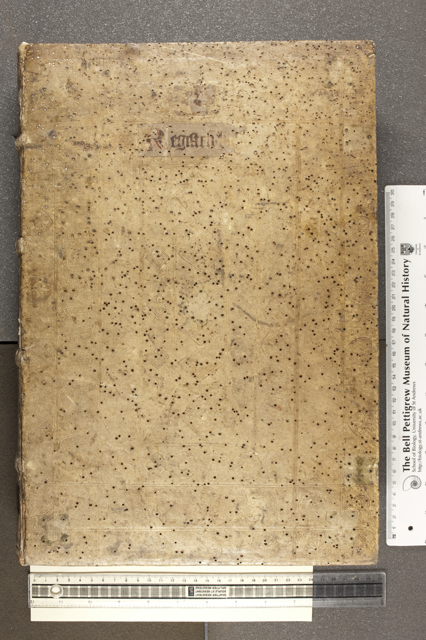 Front board of TypGA.A72ZG, a fine example of a 1470s German pigskin binding