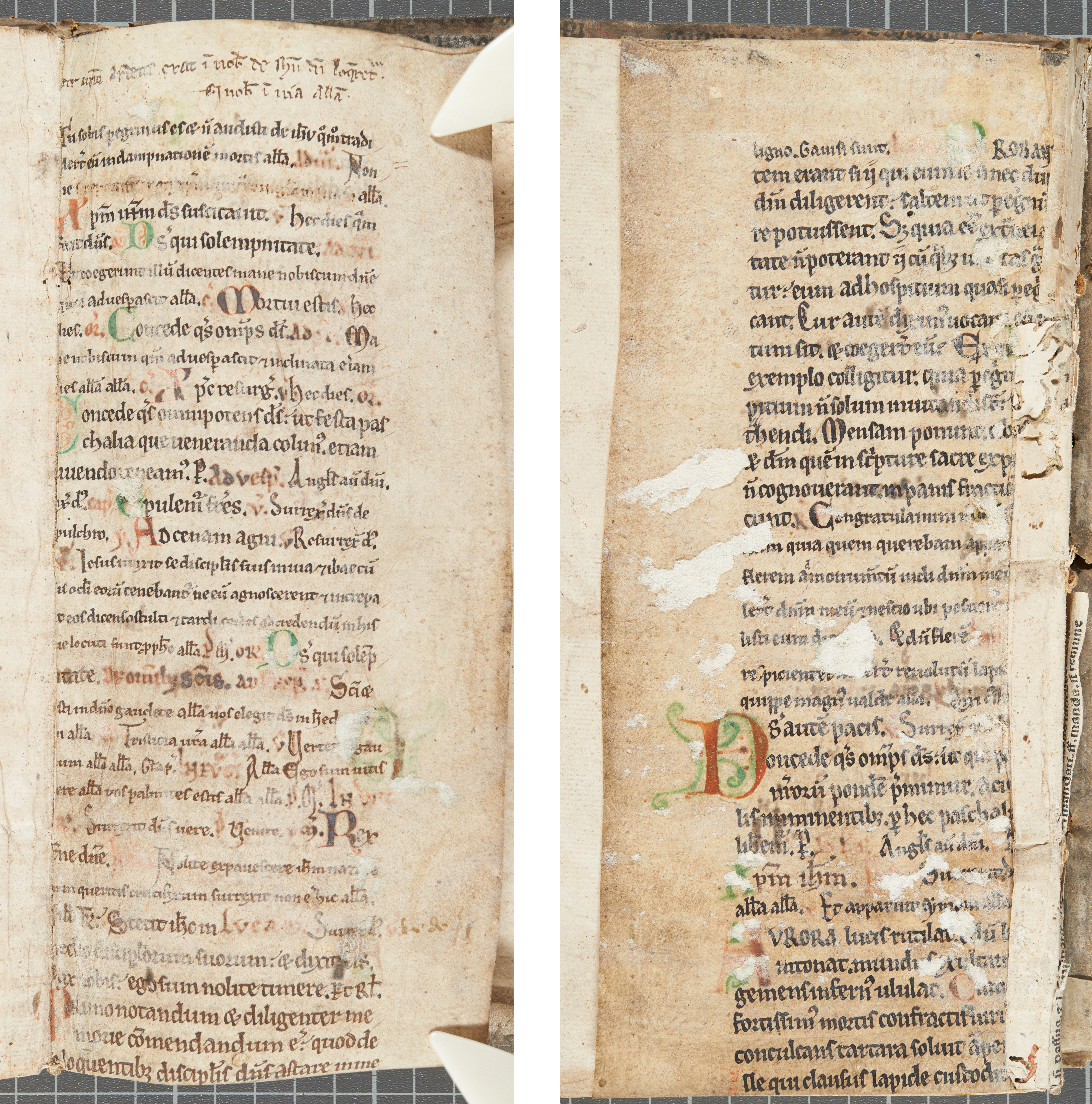 The second of two fragmentary leaves of a 12th century manuscript found sewn into the front and back of TypFL.B47GS.