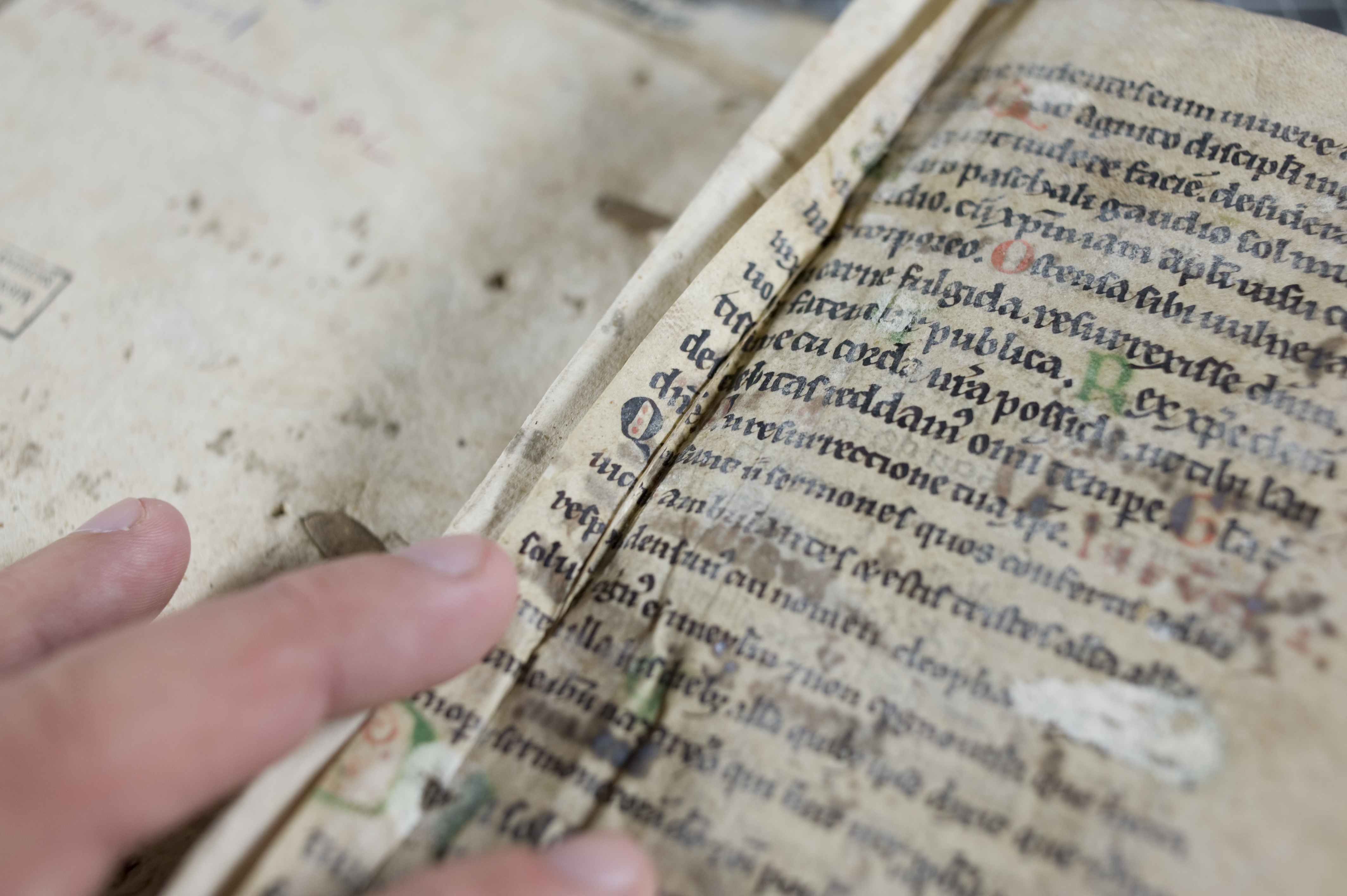 Two fragmentary leaves of a 12th century manuscript have been sewn into the front and back of TypFL.B47GS.
