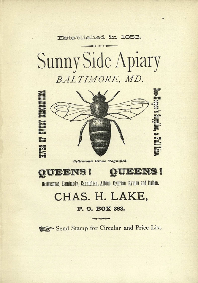 Advertisement for the Sunny Side Apiary (BevSF523.C6 )