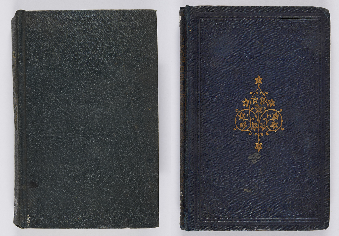 Examples of morocco grain, the first a dark green morocco, the second a dark blue ribbed-morocco blocked in blind with a central gold motif. James Baillie Fraser, Tales of the caravanserai (London: Smith, Elder and Co., 1833), s PR1312.R7R5 ; Alexander Laing, Wayside flowers (Glasgow, Edinburgh, and London: Blackie and Son, 1857), r PR4859.L32W2.