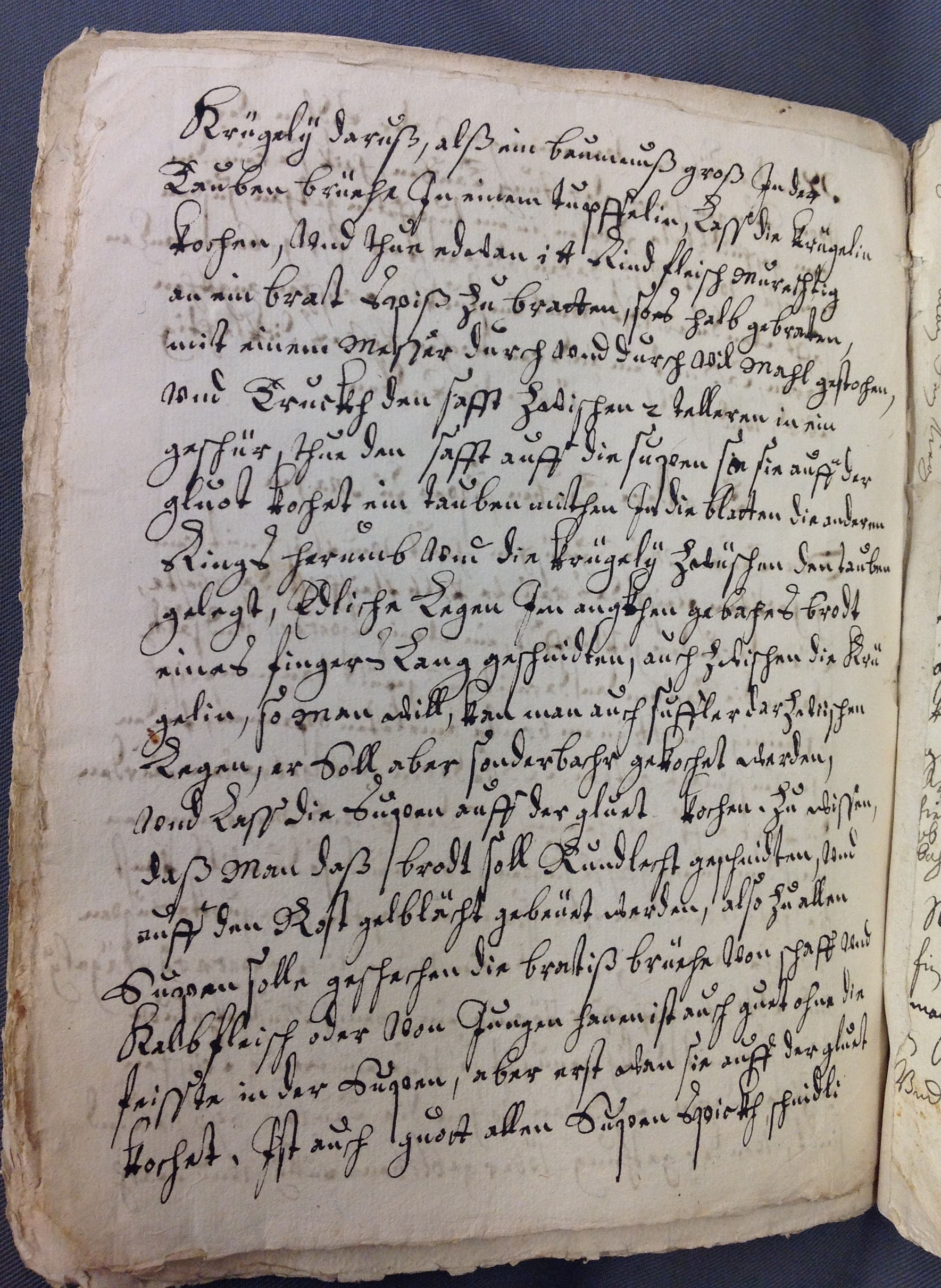 An example of a page in the recipe book