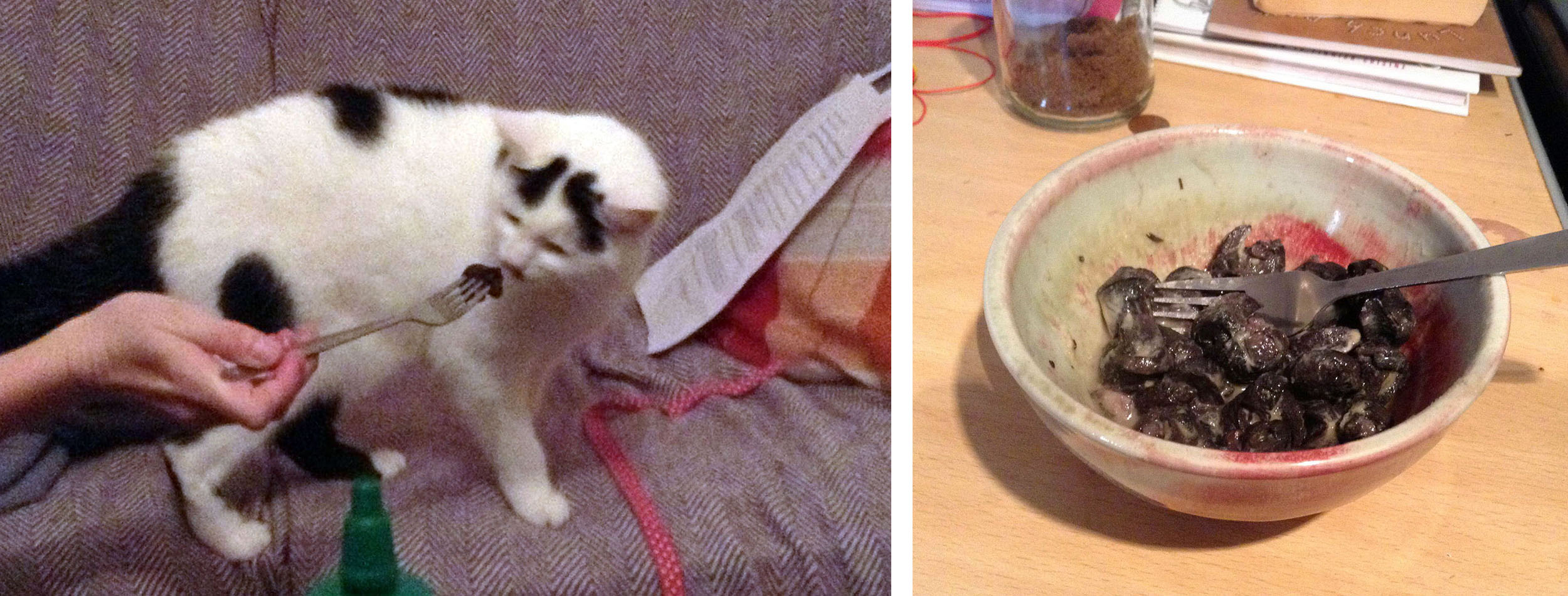 Left: Sniff test. Right: Ready to eat.